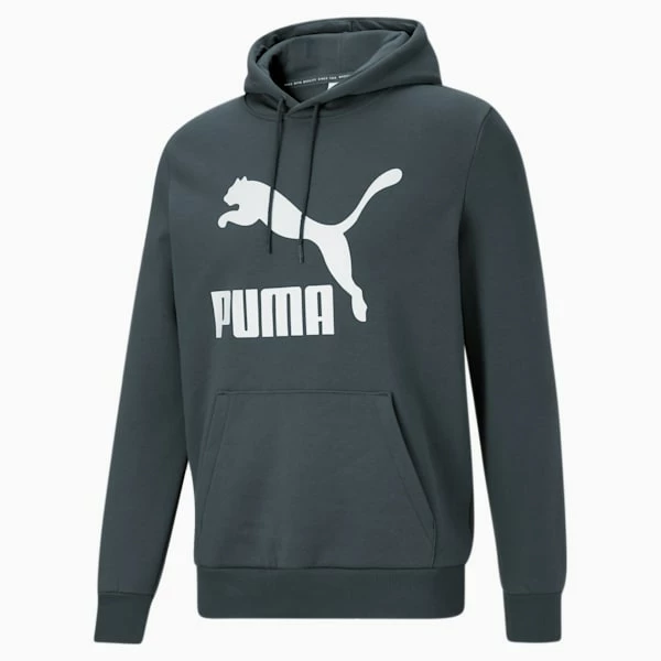 Classics Men's Logo Hoodie FL - Image 4